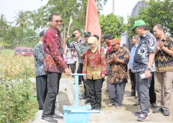 Kegiatan alih fungsi lahan Sumbergongso, Tumpukrenteng, Turen, Kabupaten Malang.