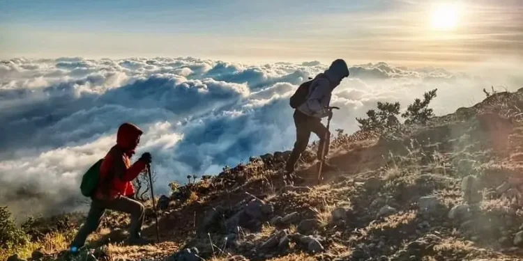 Ilustrasi jalur pendakian gunung welirang via tretes.