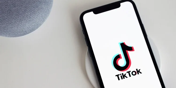 Ilustrasi TikTok