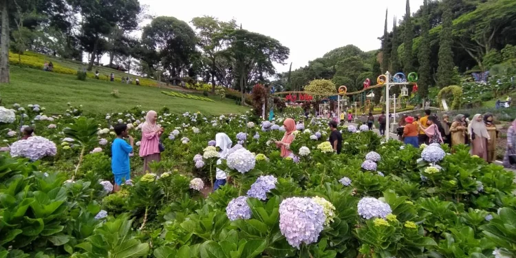 wisatawan