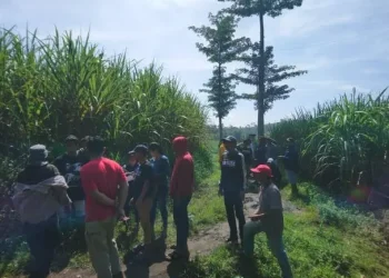 Konflik Agraria, 10 Ribu Haktare Lahan Masih Sengketa di Kabupaten Malang