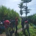 Konflik Agraria, 10 Ribu Haktare Lahan Masih Sengketa di Kabupaten Malang