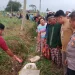 bayi laki-laki ditemukan tewas