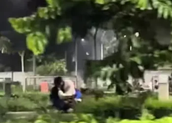 bercumbu di taman - Viral, Sejoli Bercumbu di Taman Merjosari Kota Malang