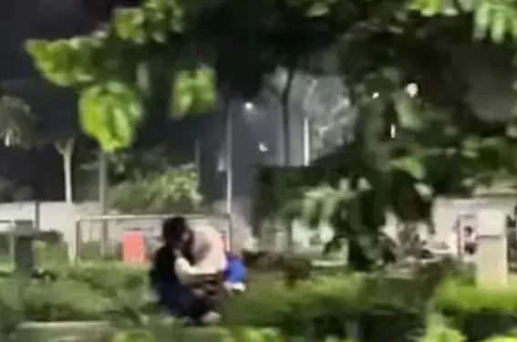 bercumbu di taman - Viral, Sejoli Bercumbu di Taman Merjosari Kota Malang