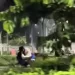 bercumbu di taman - Viral, Sejoli Bercumbu di Taman Merjosari Kota Malang