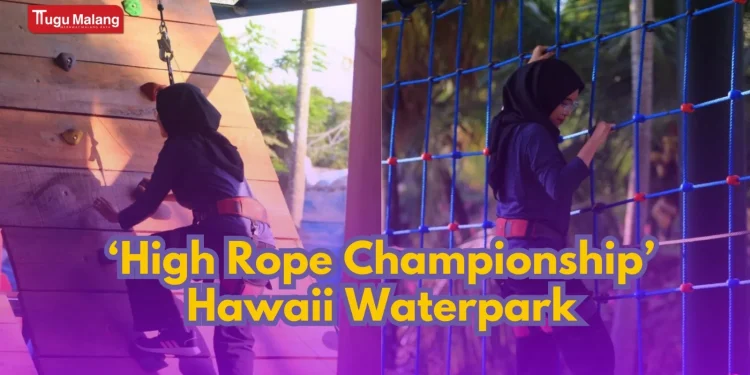 High Rope Championship