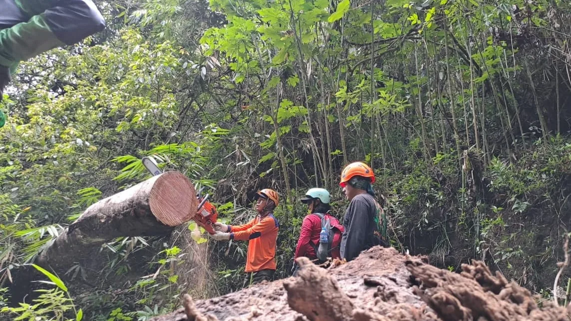 Pemotongan material kayu