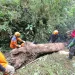 Sapu bersih bendung alam di Personel gabungan sapu bersih Bendung alam di kawasan Pusung Lading Kota Batu