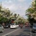Suasana jalan di Kota Batu yang dipenuhi bunga dari pohon tabebuya. Foto: Azmy