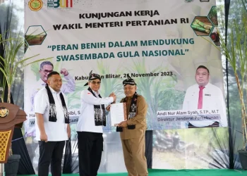 Tebu Pringu