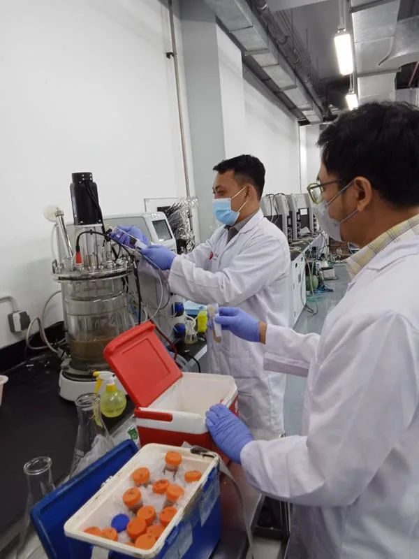 Kegiatan laboratorium