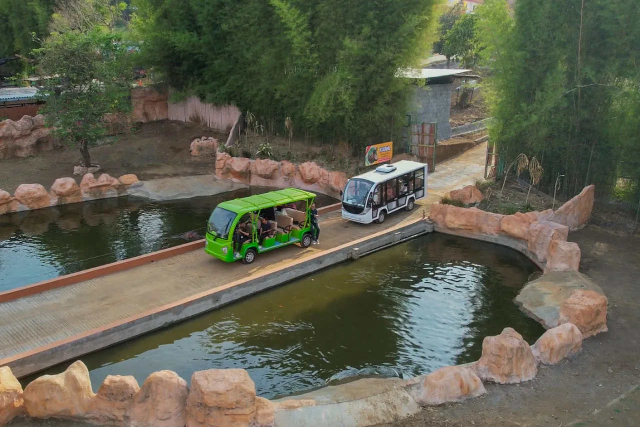 Drive Thru Park