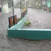 Banjir mengepung kota malang