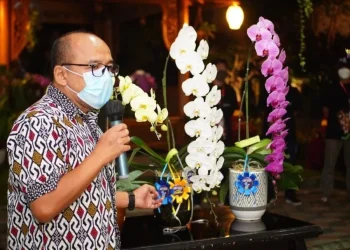 Batu Shinning Orchid Weeks 2023