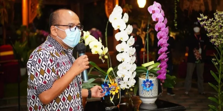 Batu Shinning Orchid Weeks 2023