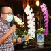 Batu Shinning Orchid Weeks 2023
