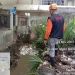 Pujon lor dilanda banjir