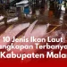 Beberapa jenis ikan di Kabupaten Malang dengan jumlah tangkapan terbanyak tahun 2022.