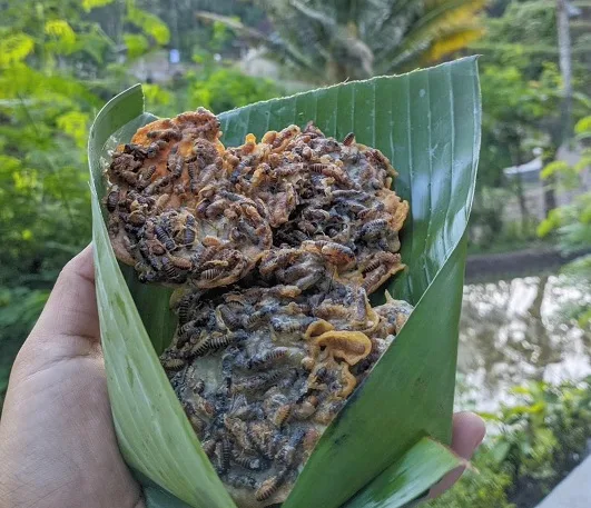 Ilustrasi Peyek Laron.