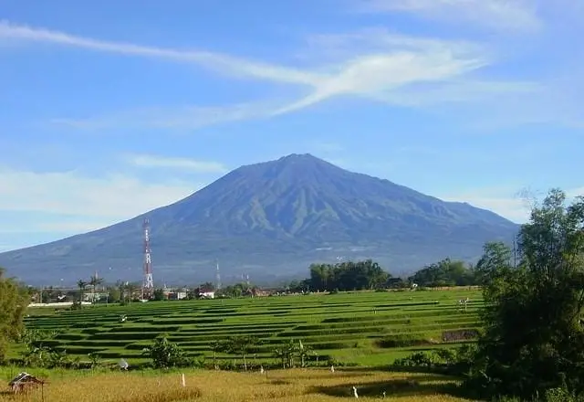 Potret Gunung Arjuna. 