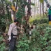 jasad pria asal kediri ditemukan membusuk