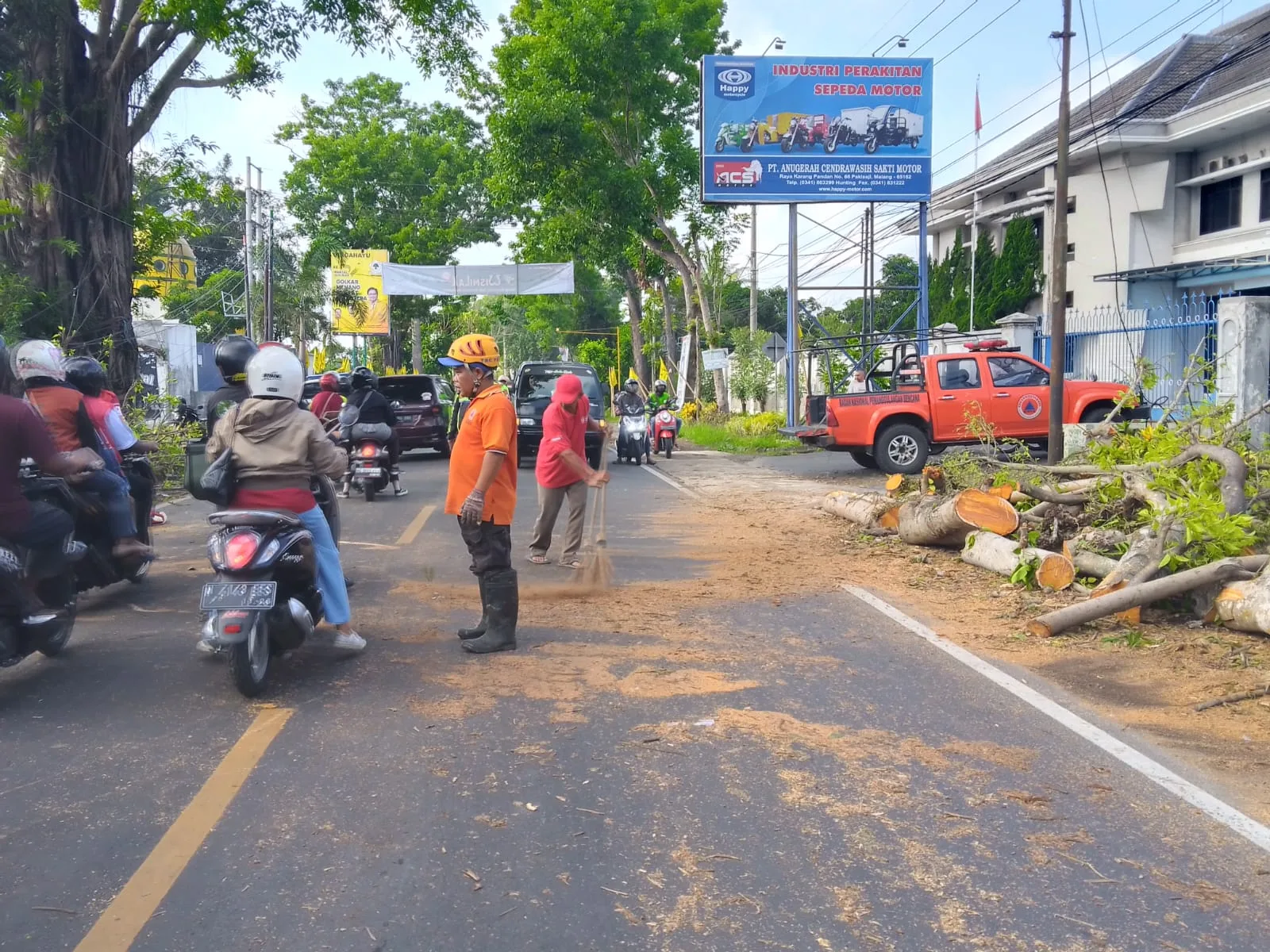 Pohon tumbang