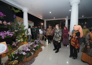 Batu Shining Orchid Week 2023.