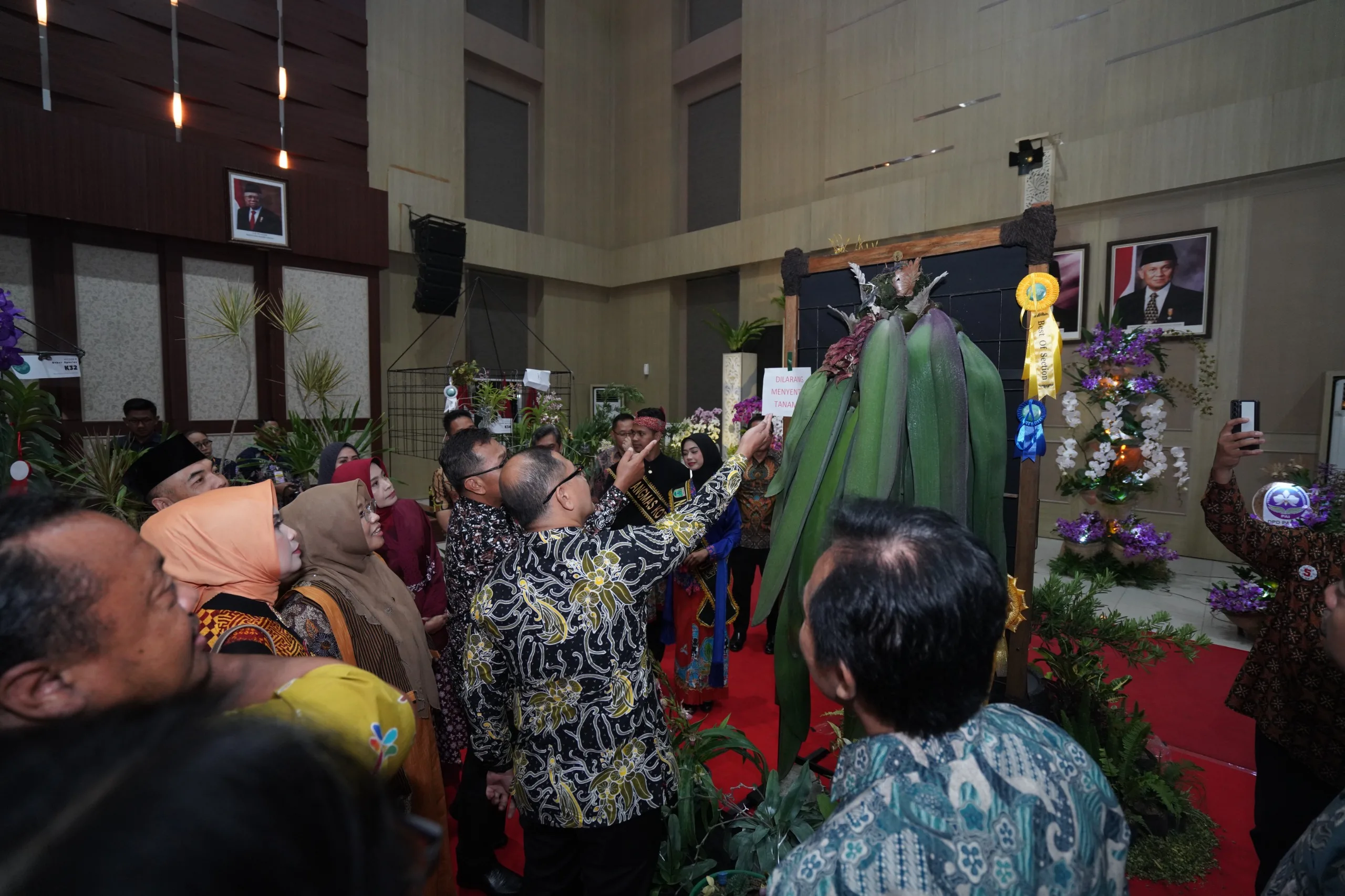 Pameran angrek