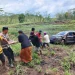 terperosok ke jurang
