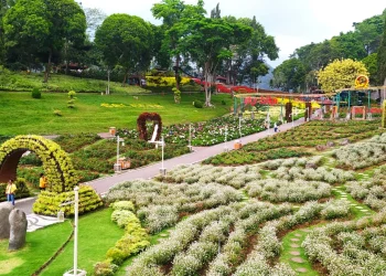 nilai investasi di Kota Batu