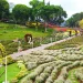 nilai investasi di Kota Batu