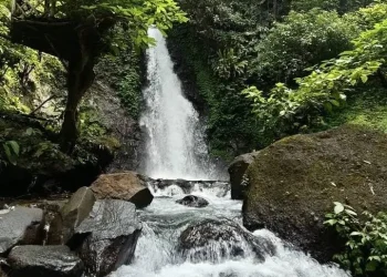 air terjun coban gintung