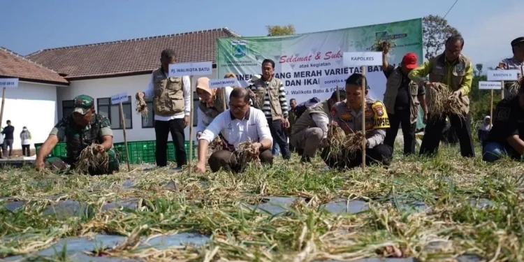 Petani milenial