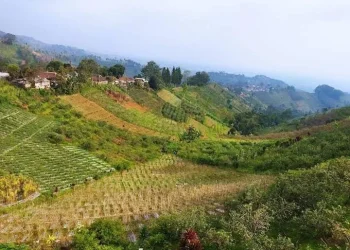 Desa Wisata