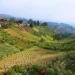 Desa Wisata