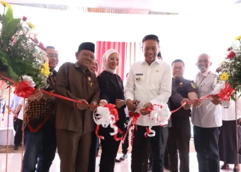 PJ Wali Kota Malang