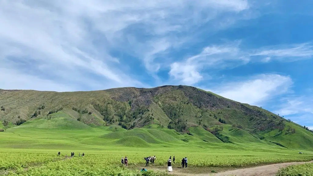 Keindahan Bukit Teletubbies dan Savana Gunung Bromo.