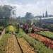 Potret Desa wisata Sidomulyo.
