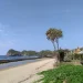 Keindahan Pantai Jolangkung yang masih alami.