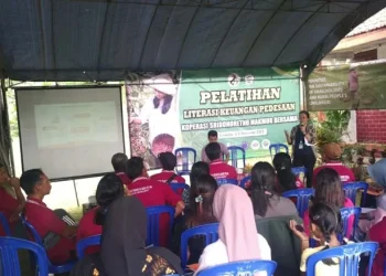 Pelatihan literasi keuangan desa