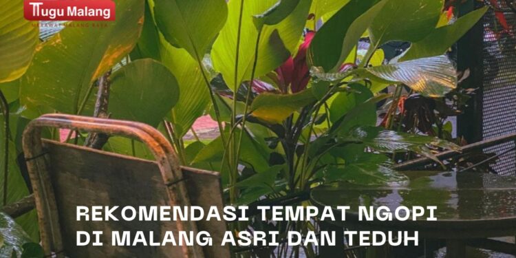 Rekomendasi tempat ngopi di Malang dengan venue asri dan teduh