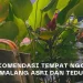 Rekomendasi tempat ngopi di Malang dengan venue asri dan teduh
