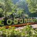 Rekomendasi wisata di Pujon Malang yang menawarkan view alam dan juga cocok sebagai referensi destinasi wisata libur akhir pekan bersama keluarga