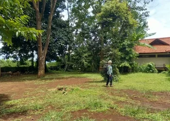 Salah satu sudut hutan P-WEC, dulunya adalah bukit tandus di Dau, Kabupaten Malang.