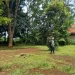 Salah satu sudut hutan P-WEC, dulunya adalah bukit tandus di Dau, Kabupaten Malang.