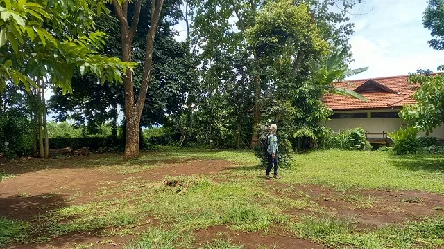 Salah satu sudut hutan P-WEC, dulunya adalah bukit tandus di Dau, Kabupaten Malang.
