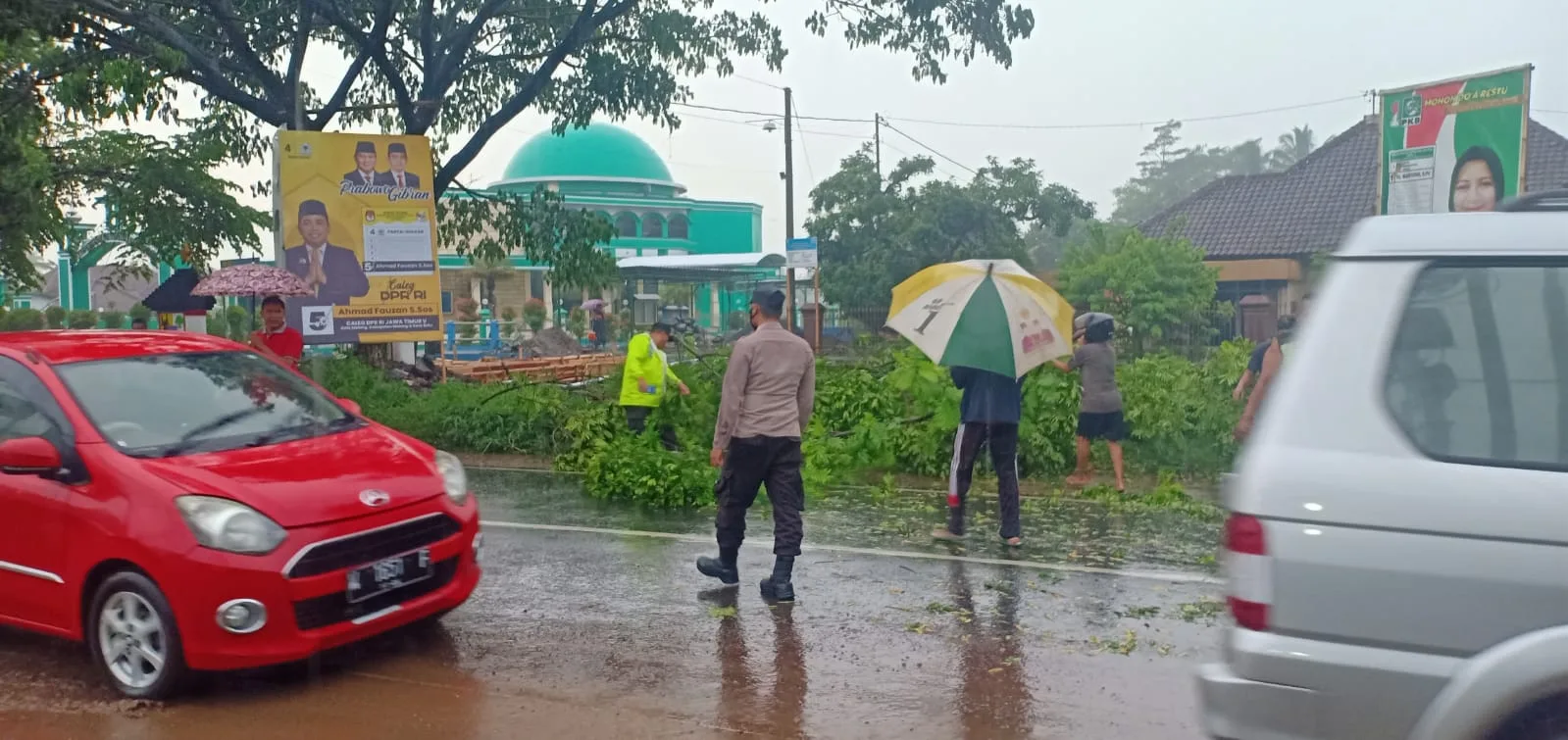 Pohon tumbang