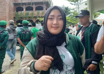 caleg dpr ri