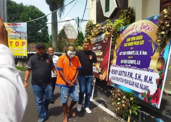 Pesta Miras